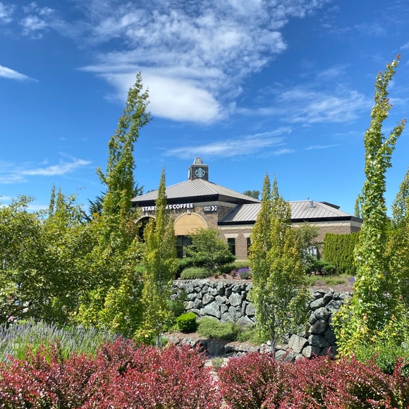 Meet your Posher, Siriporn/Tammy - Picture 1 of 1